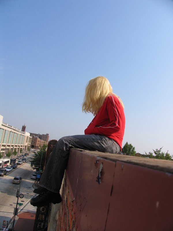Roof figure with downtown Washington behind