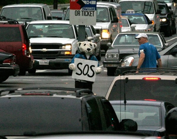 Polar bear figure with S.O.S. sign on the Constitution Avenue median