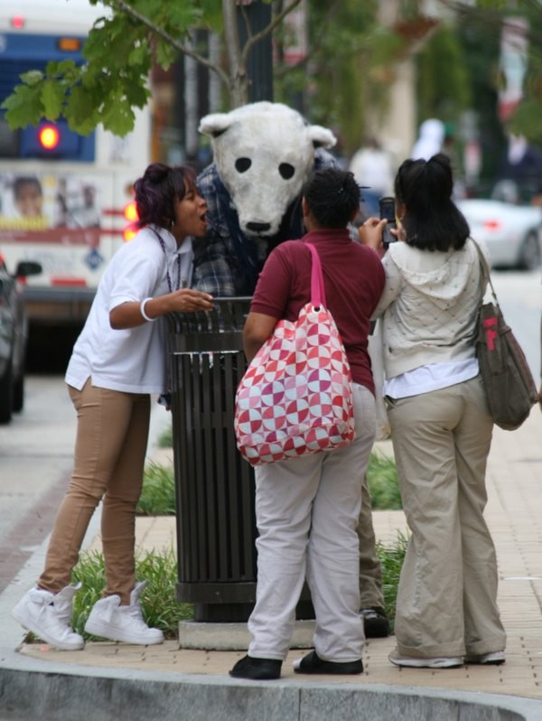 Polar bear figure in Columbia Heights, Irving and 14th Street